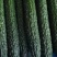 福建密刺黄瓜，大量上市，青肉，细条，价格便宜，欢迎下单
