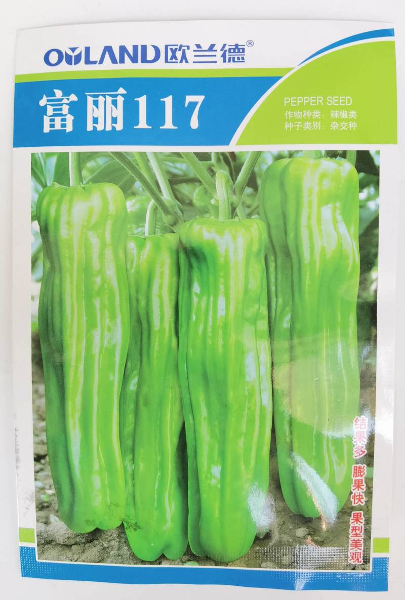 欧兰德富丽117薄皮泡椒种子大果薄皮泡椒油亮翠绿皮辣椒