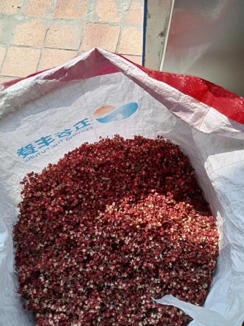 大红袍花椒，基地直供，货源充足，颜色特亮，欢迎商家定购。