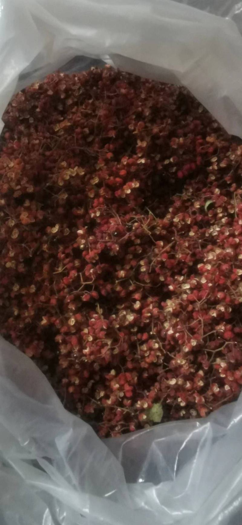大红袍花椒，基地直供，货源充足，颜色特亮，欢迎商家定购。
