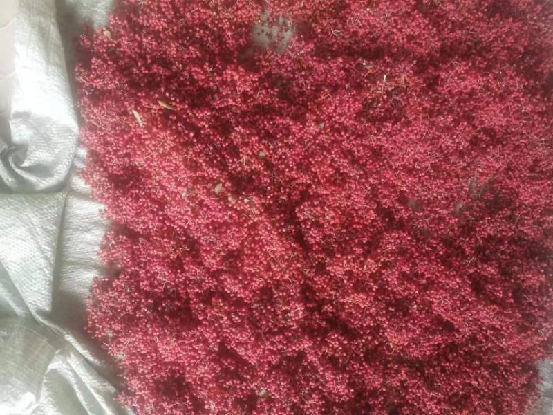 大红袍花椒，基地直供，货源充足，颜色特亮，欢迎商家定购。