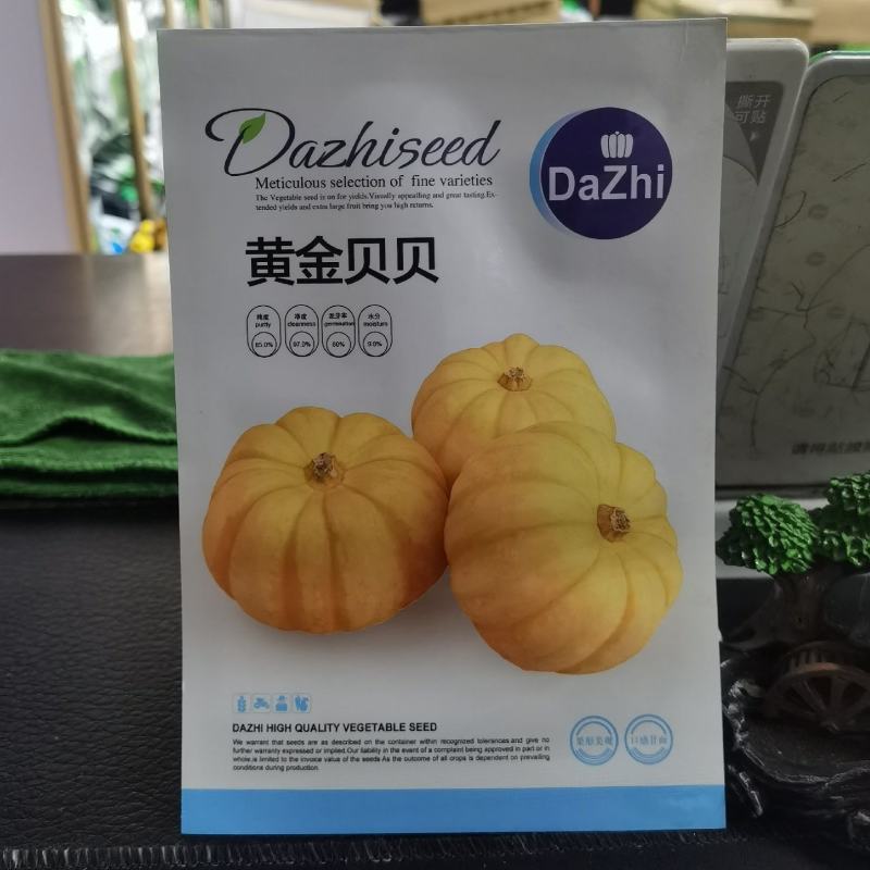 黄金贝贝黄贝贝迷你小南瓜种子板栗风味粉糯甜观赏食用