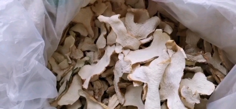 黄精鲜货，四川多花姜型不倒苗甜黄精，