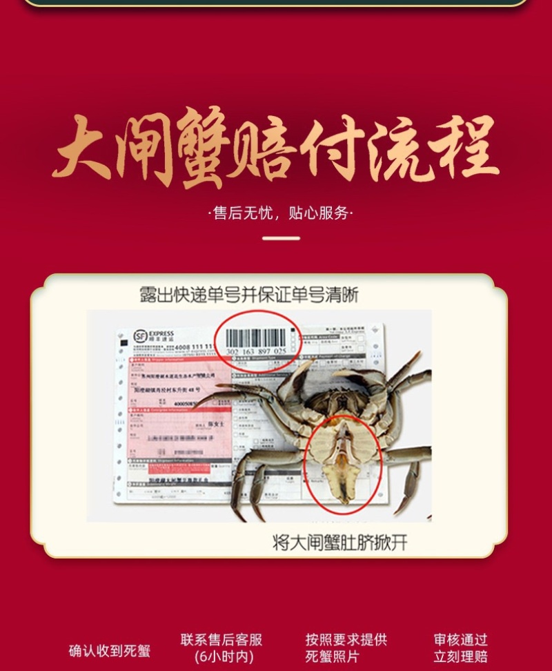 固城湖大闸蟹