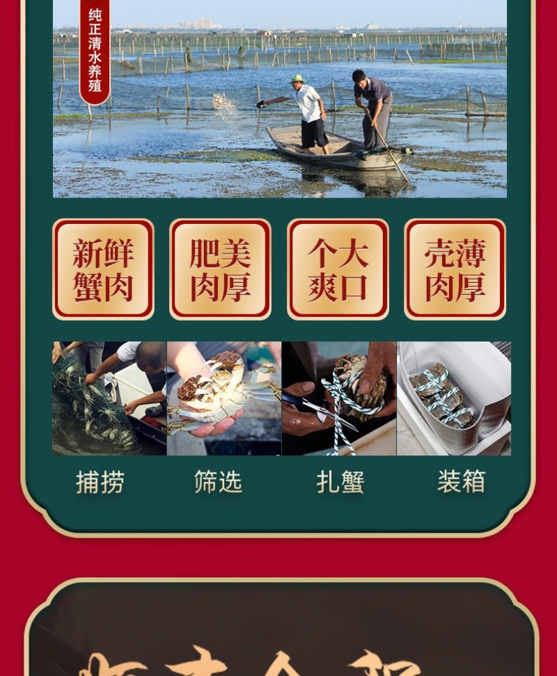 固城湖大闸蟹