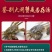 固城湖大闸蟹