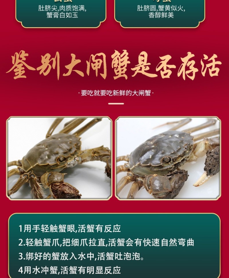 固城湖大闸蟹