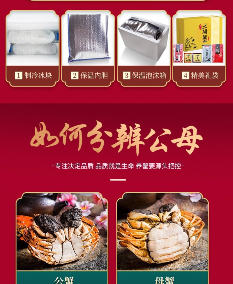 固城湖大闸蟹