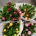 四季耐寒蜡菊盆栽麦秆菊花苗室内花园庭院露台年宵钮扣菊球型