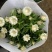 四季耐寒蜡菊盆栽麦秆菊花苗室内花园庭院露台年宵钮扣菊球型