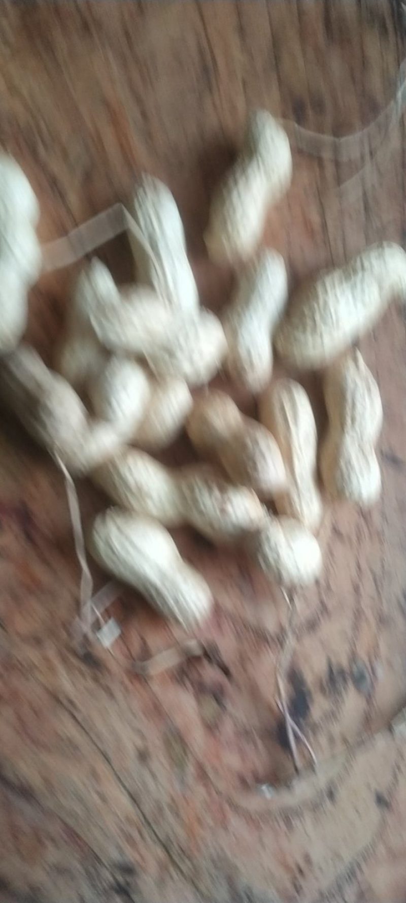 大量花生开始上市