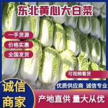 吉林黄心菜大量上市价格美丽量大从优质量上乘