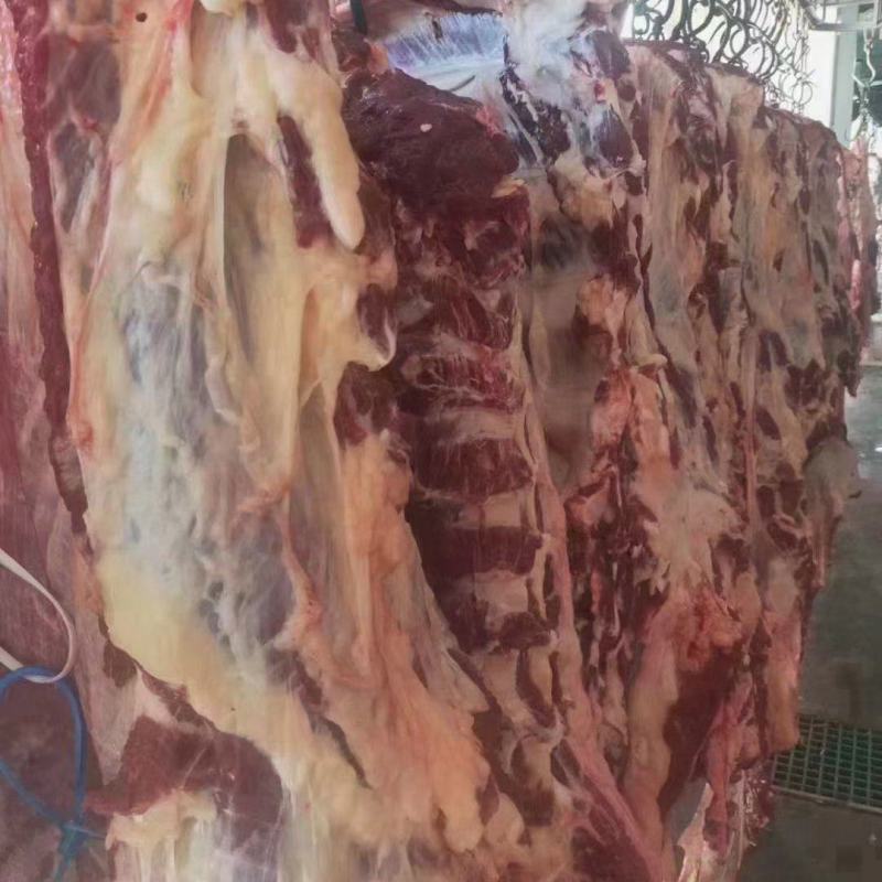 牛肉牛腱子牛腩肉牛林肉牛脖肉牛排骨