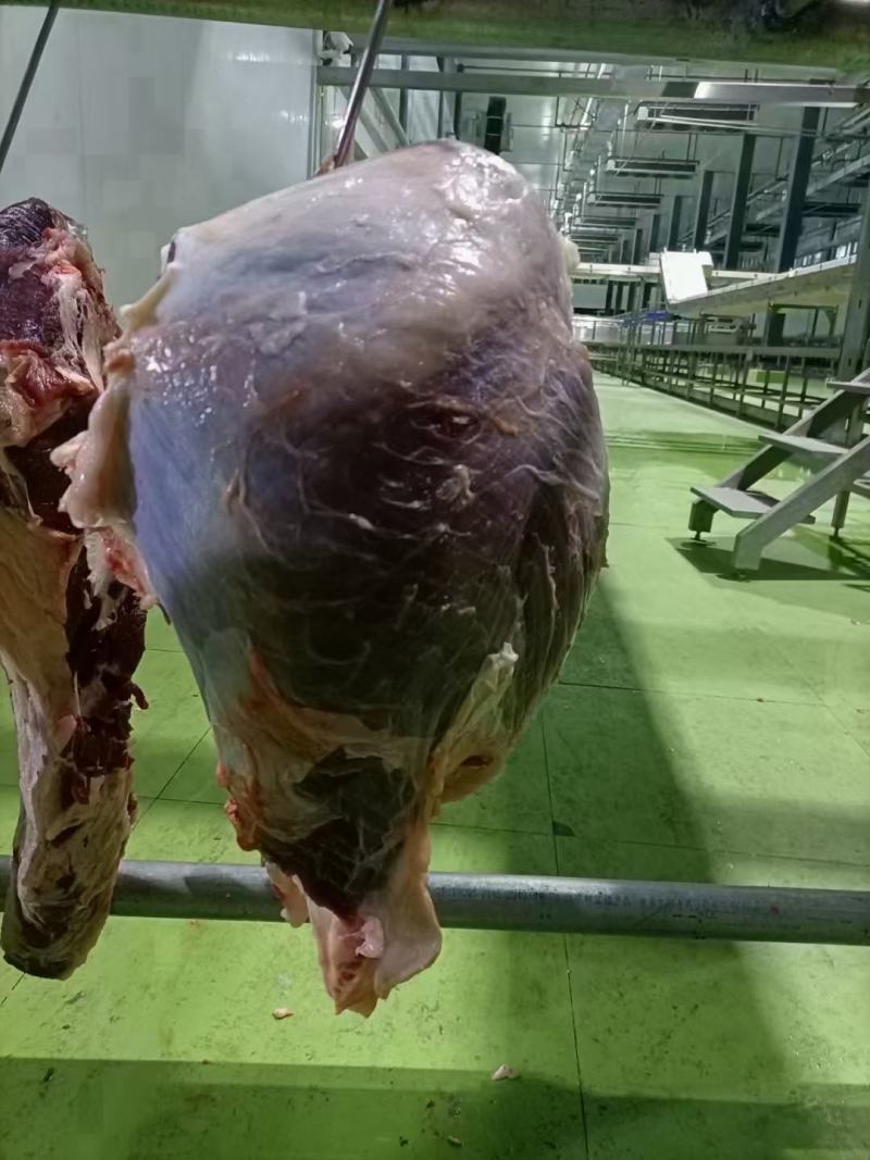 牛肉牛腱子牛腩肉牛林肉牛脖肉牛排骨