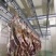 牛肉牛腱子牛腩肉牛林肉牛脖肉牛排骨