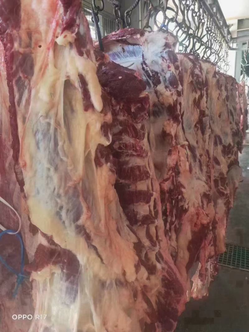 牛肉牛腱子牛腩肉牛林肉牛脖肉牛排骨