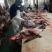 牛肉牛腱子牛腩肉牛林肉牛脖肉牛排骨