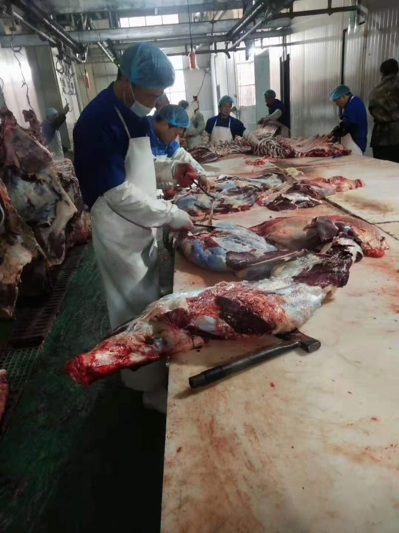 牛肉牛腱子牛腩肉牛林肉牛脖肉牛排骨