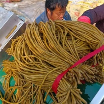 精品腌制豆角酸豆角颜色鲜亮大量有货源支持全国发货