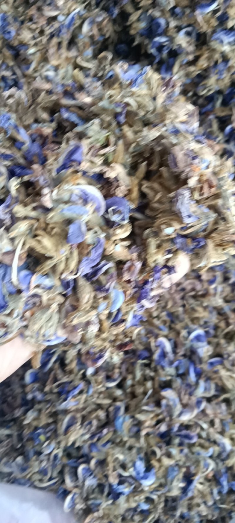 葛花，泡茶，解酒