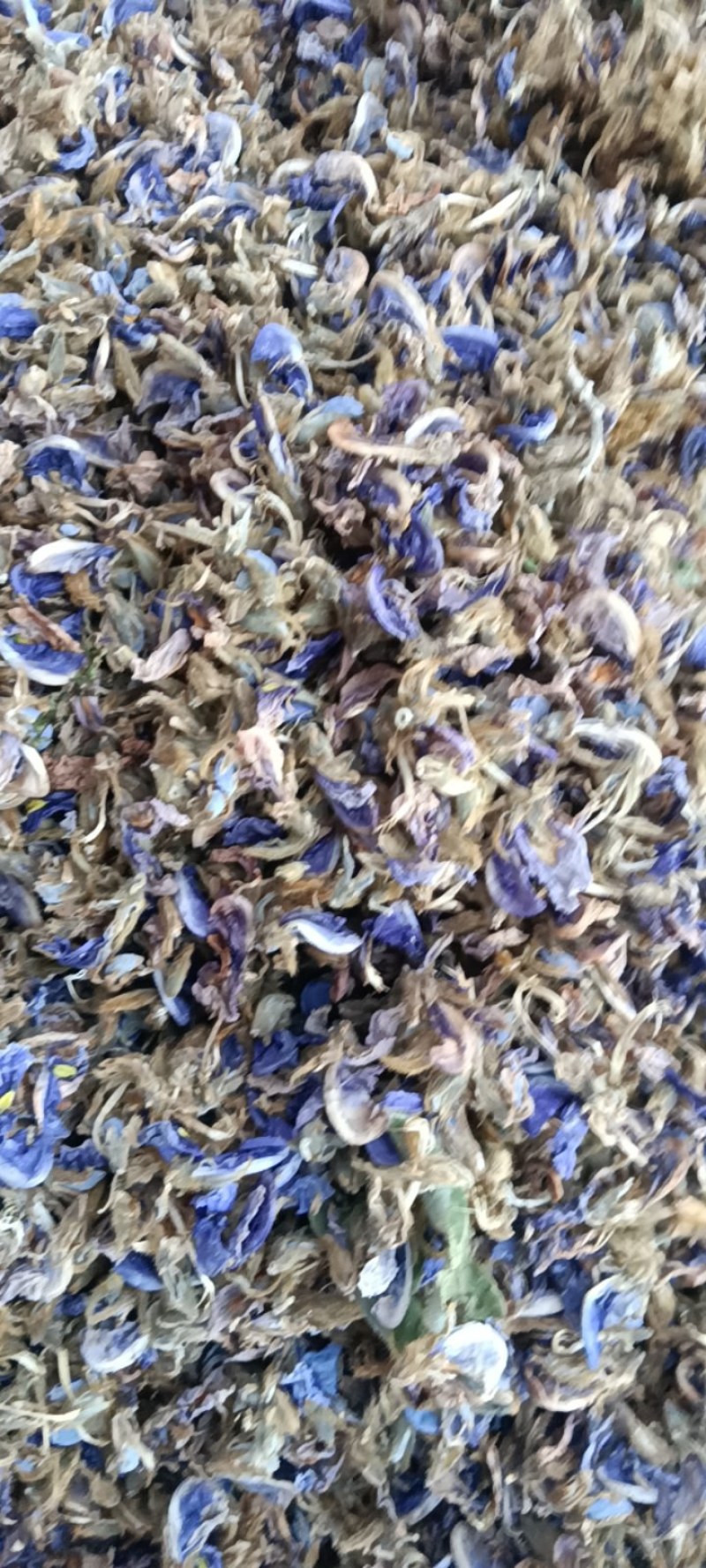 葛花，泡茶，解酒