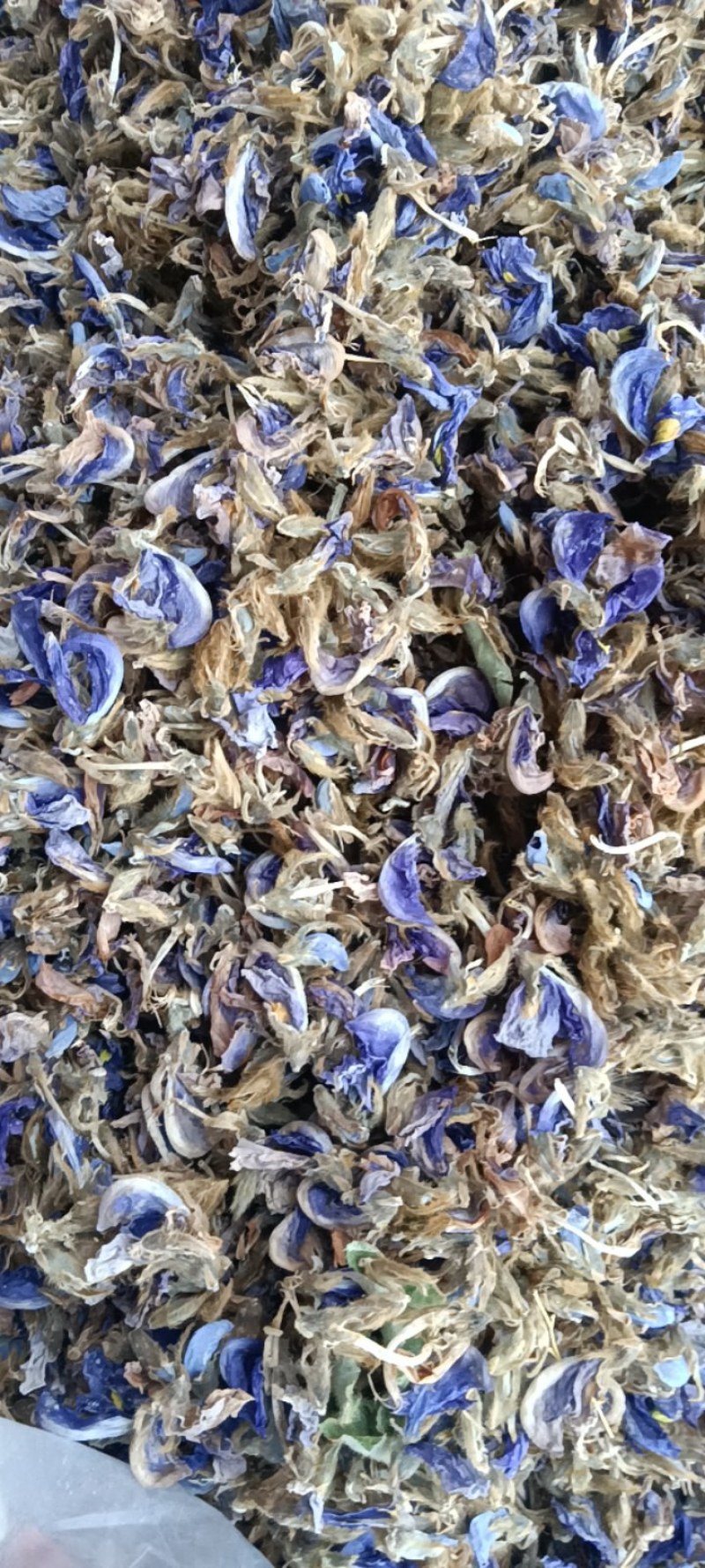 葛花，泡茶，解酒