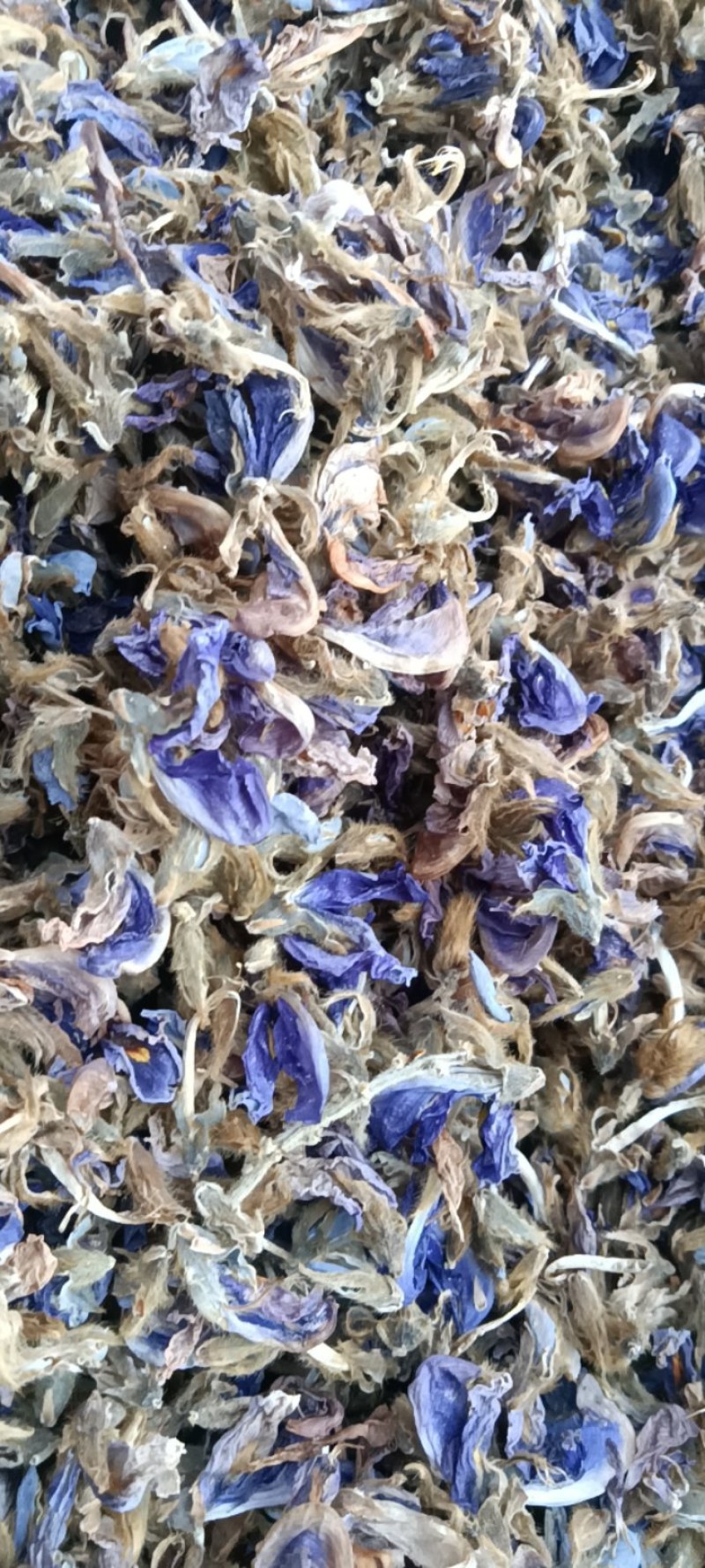 葛花，泡茶，解酒