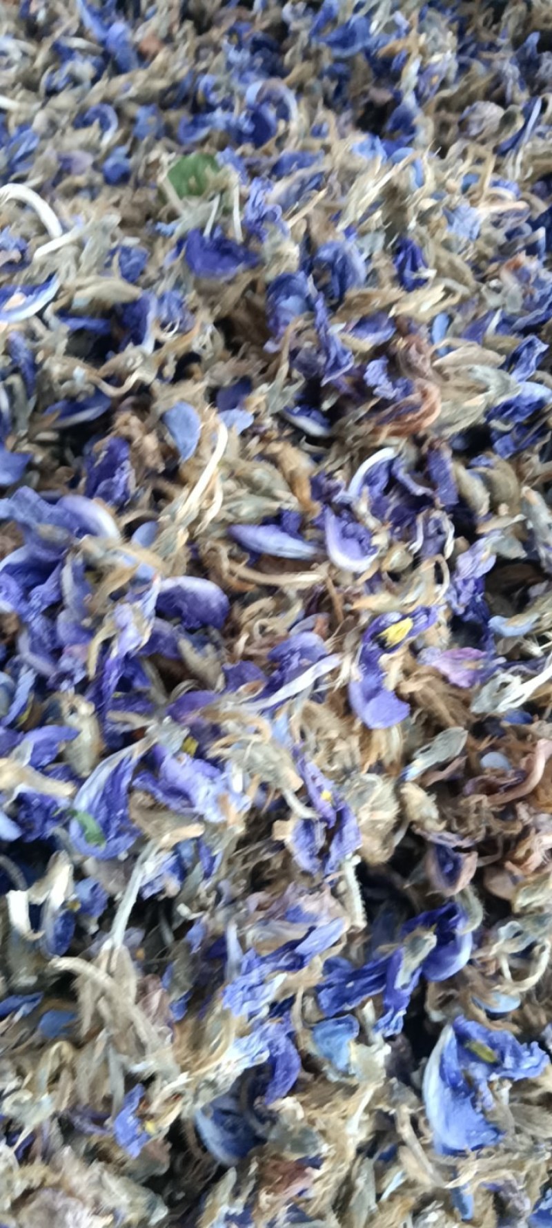 葛花，泡茶，解酒
