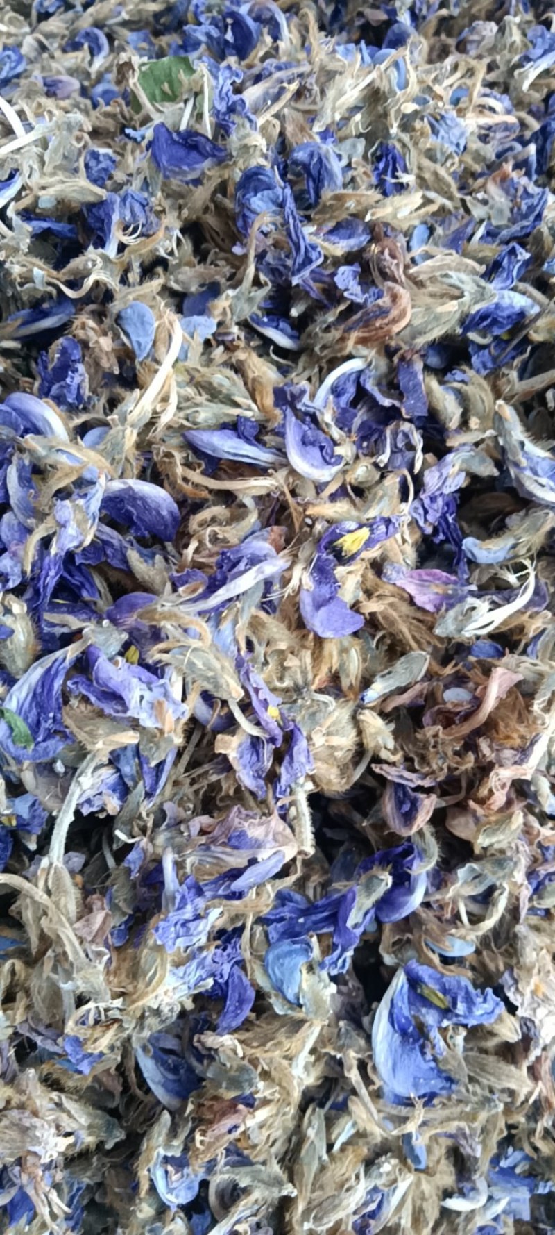 葛花，泡茶，解酒