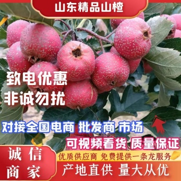 沂蒙山，沙土甜红子，口感号，颜色好，硬度好，保质保量，价