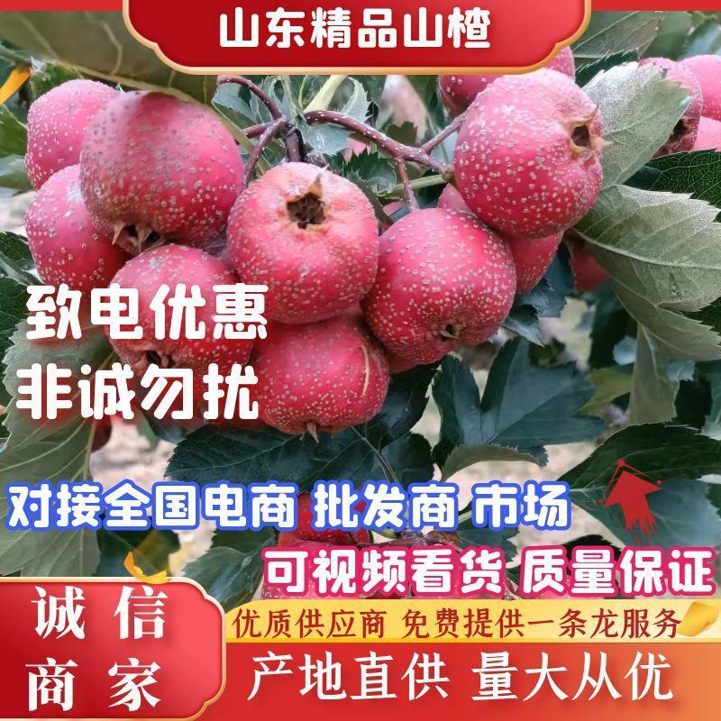 沂蒙山，沙土甜红子，口感号，颜色好，硬度好，保质保量，价