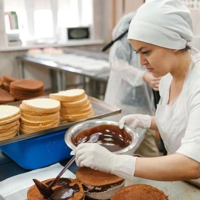 正宗俄罗斯风味12拼提拉米苏梅斯贝卡千层蜂蜜奶油蛋糕甜品