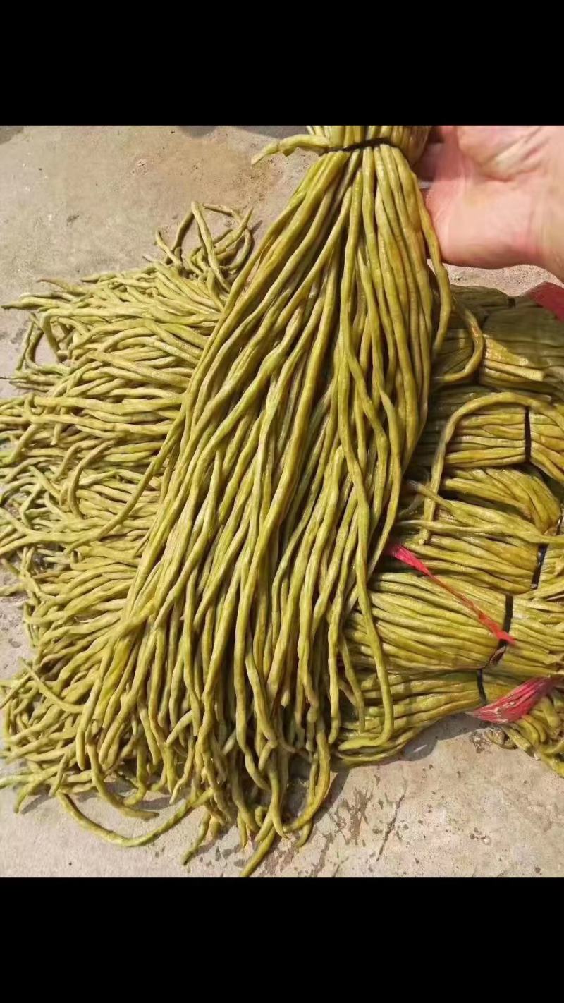 精品腌制豆角酸豆角颜色鲜亮大量有货源支持全国发货