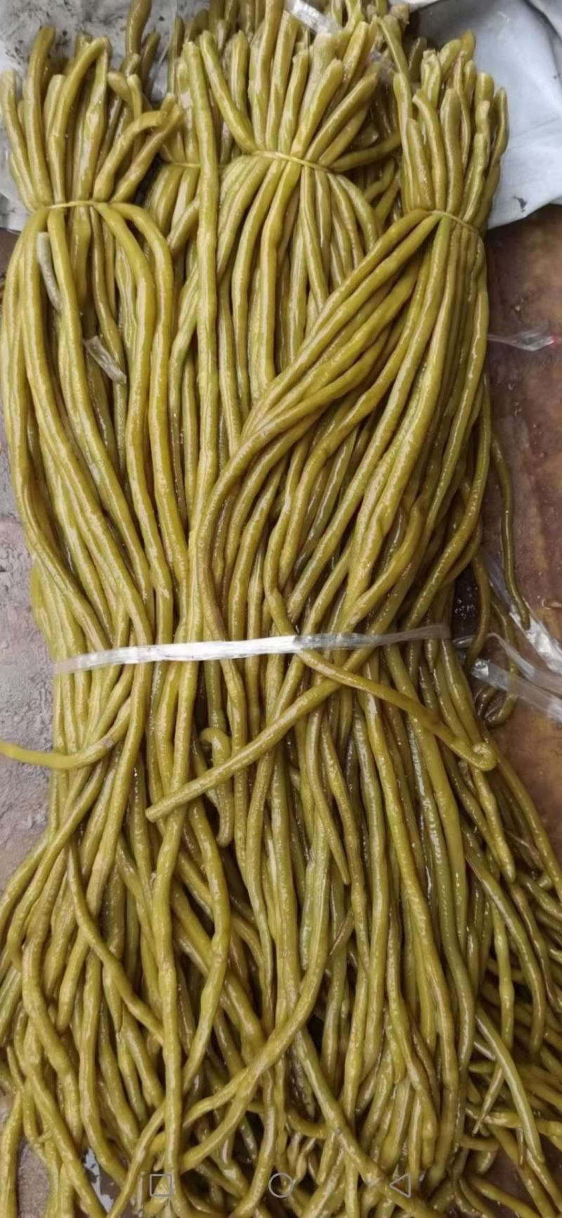 精品腌制豆角酸豆角颜色鲜亮大量有货源支持全国发货