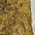 精品腌制豆角酸豆角颜色鲜亮大量有货源支持全国发货