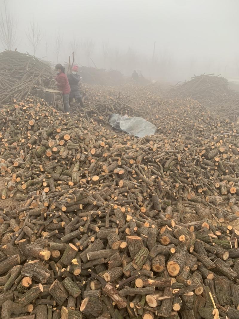 河北省沧州市献县枣木块，枣木段，雷击木，大量销售