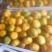 湖南东江湖蜜桔精品蜜桔,皮薄味甜全国发货