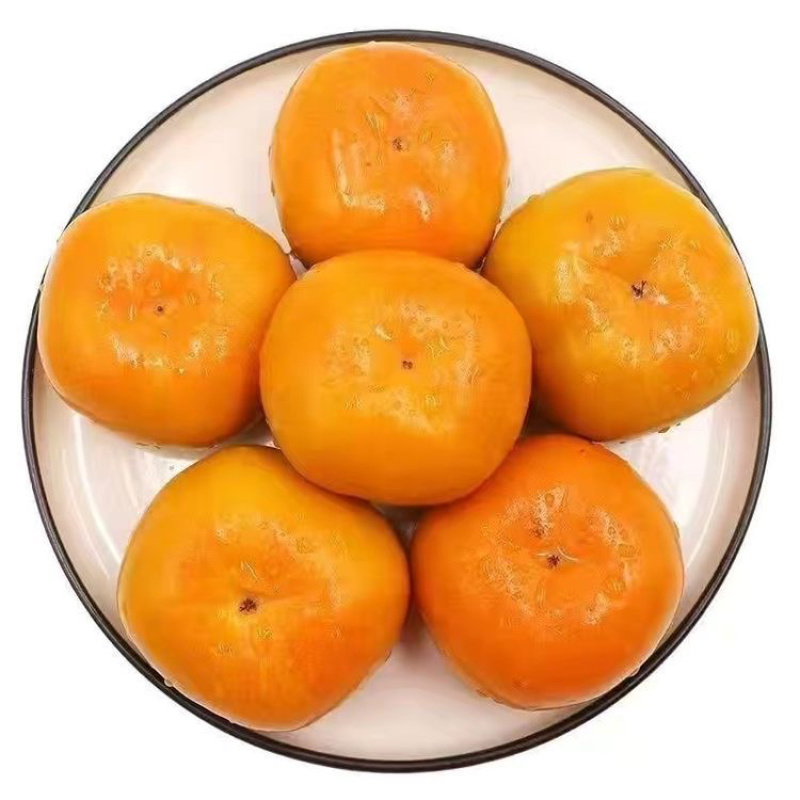 广西桂林恭城瑶山脆柿，爽口脆甜，电商一件代发