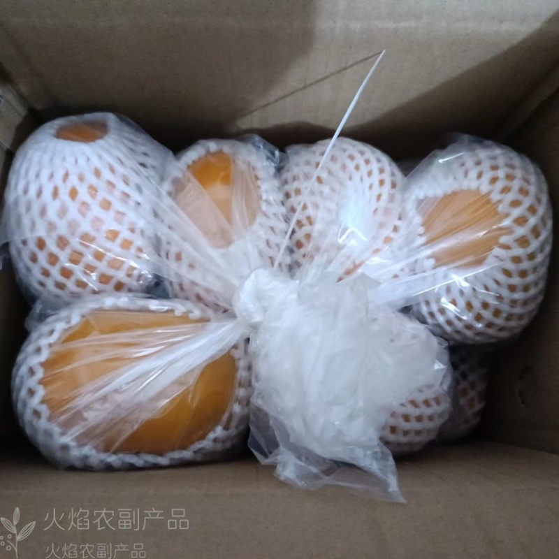 广西桂林恭城瑶山脆柿，爽口脆甜，电商一件代发