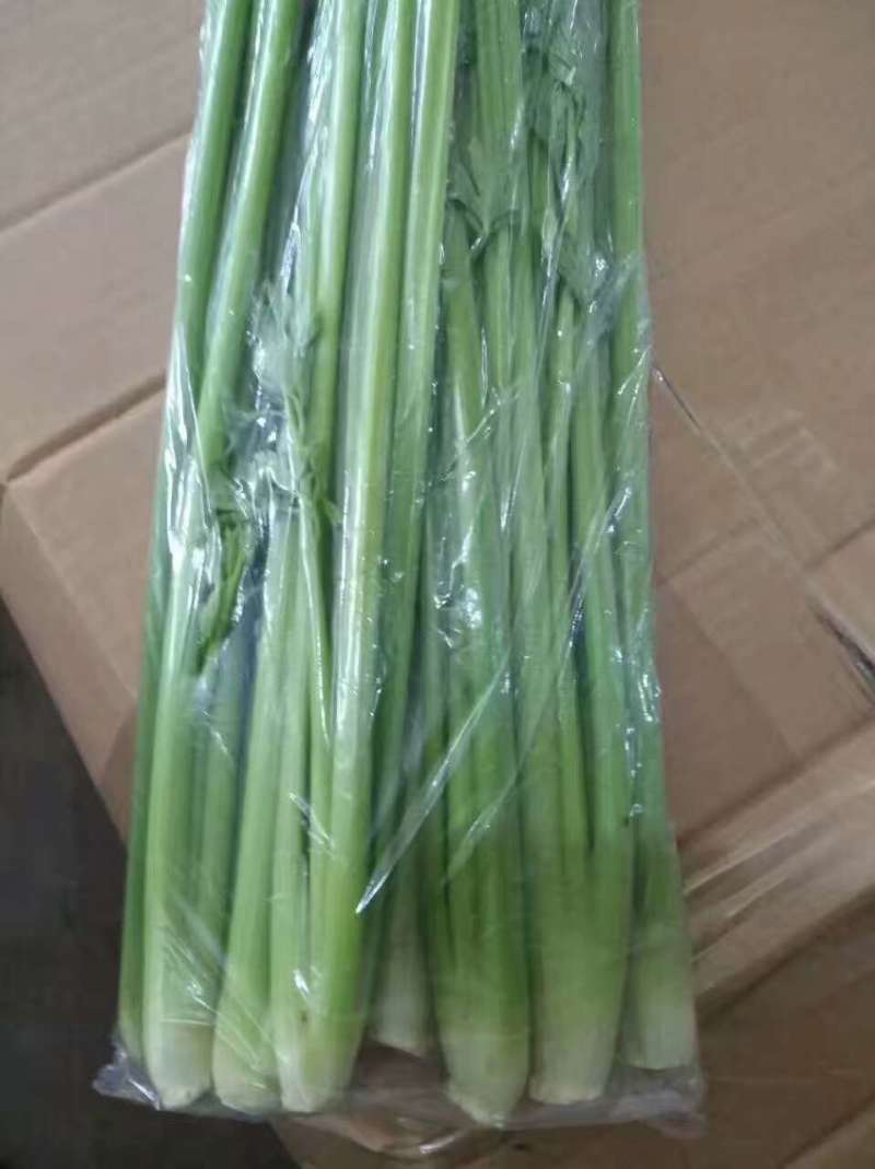 芹菜苗小山芹，山东自种品质优，货发全国，预冷加冰发货