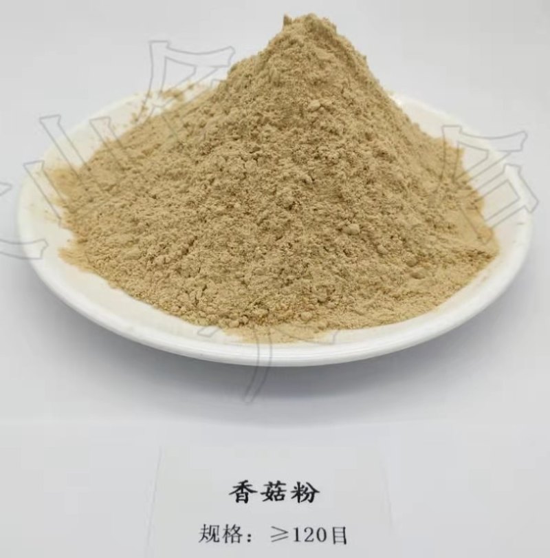香菇粉脱水香菇粉调味汤料面条鸡精散装批发120目