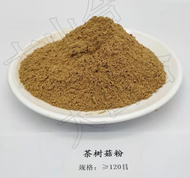 香菇粉脱水香菇粉调味汤料面条鸡精散装批发120目
