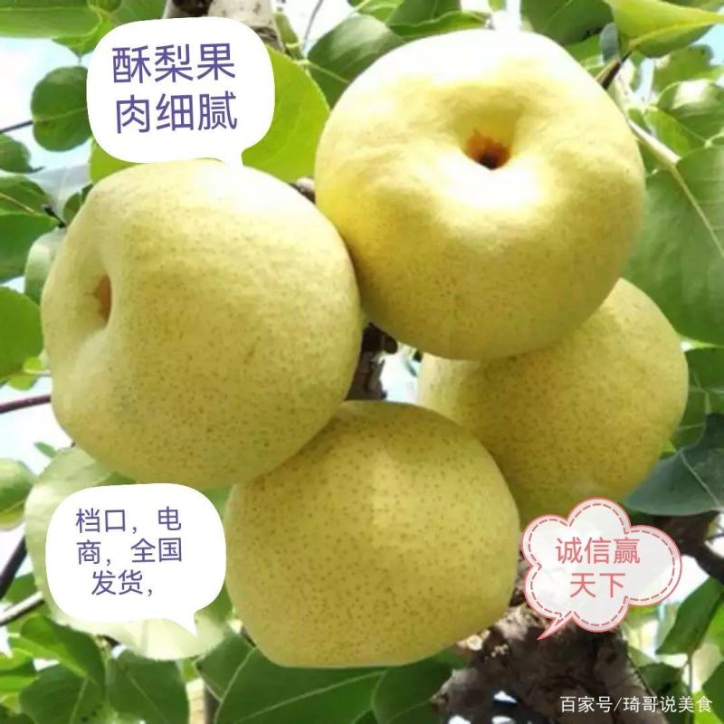 梨现在热卖中，砀山酥梨大量上，口感脆甜，汁多，糖度高，