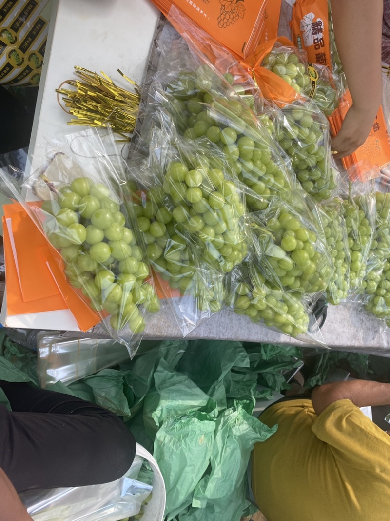 精品阳光玫瑰，颗粒饱满，供应电商，各大水果交易市场