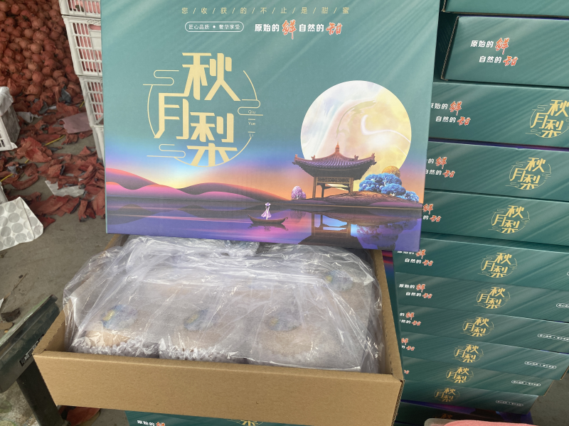 精品秋月梨，品质好，口感好，糖度高，礼盒装，优质包装团队