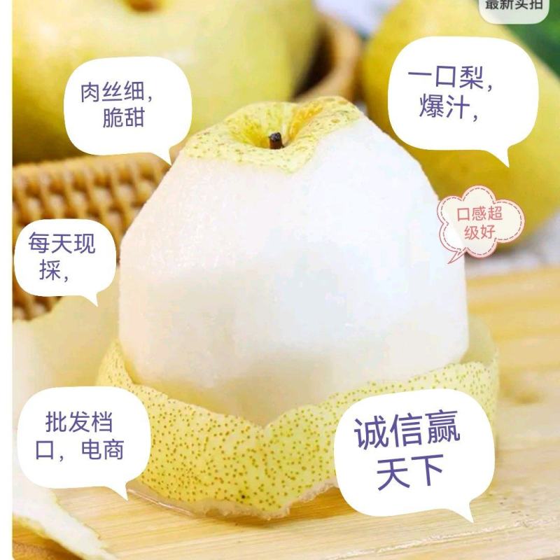 砀山酥梨，百年老树万亩酥梨种植基地，汁多味美，酥脆爽口