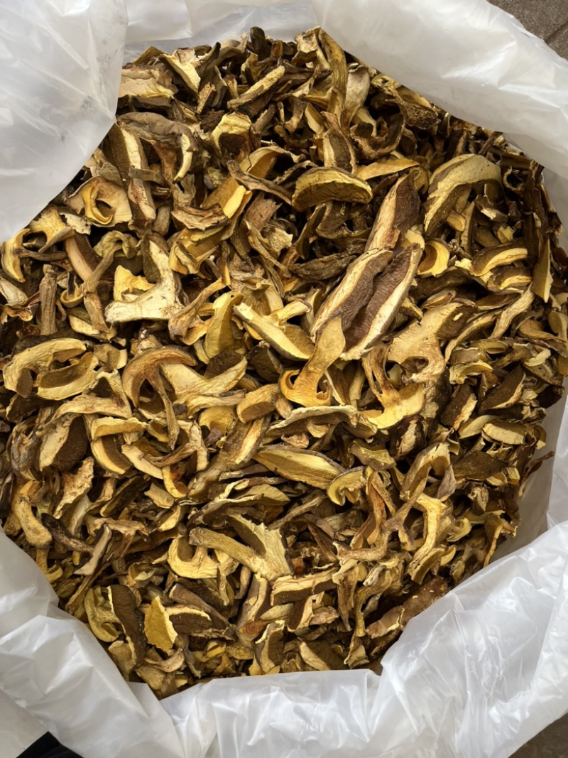 黄牛肝菌，产地云南楚雄，香味浓郁，颜色靓，一手货源