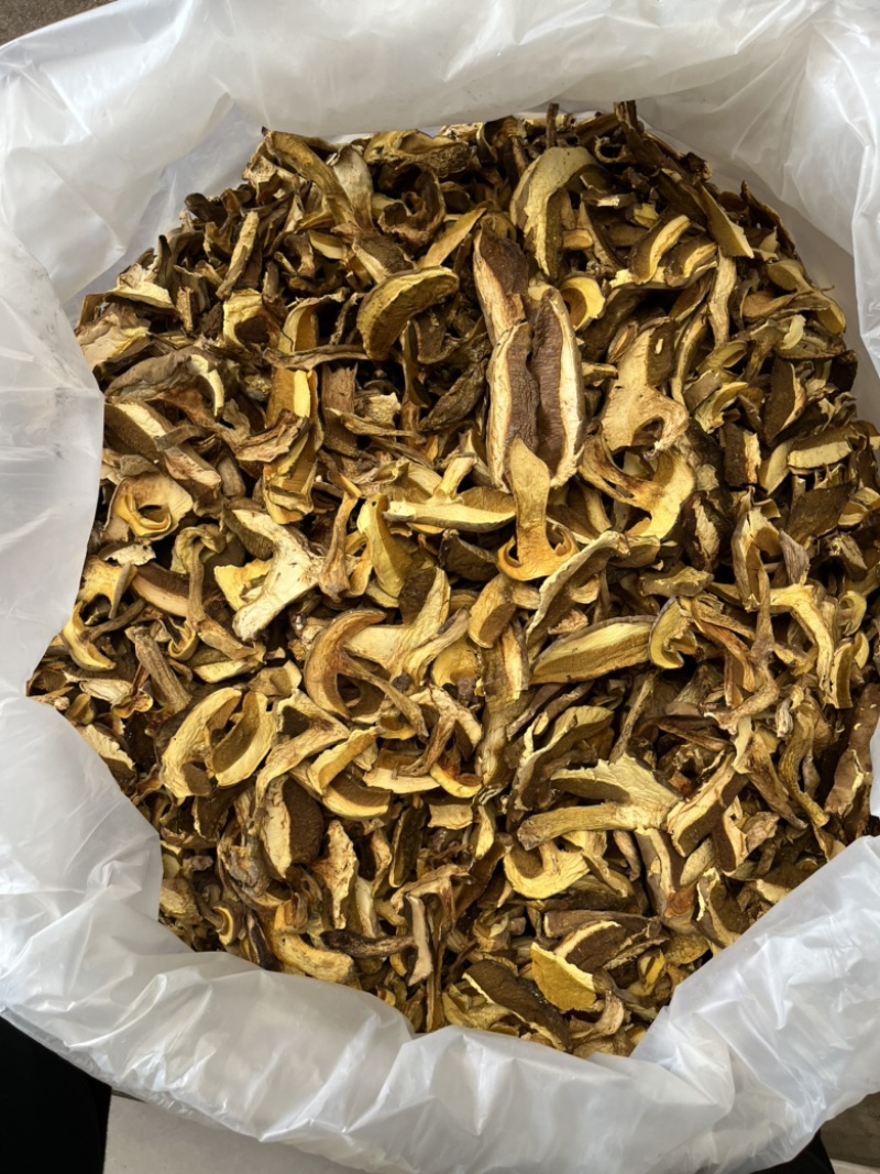 黄牛肝菌，产地云南楚雄，香味浓郁，颜色靓，一手货源