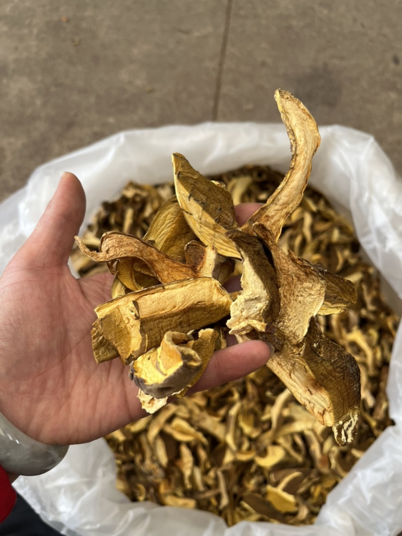 黄牛肝菌，产地云南楚雄，香味浓郁，颜色靓，一手货源