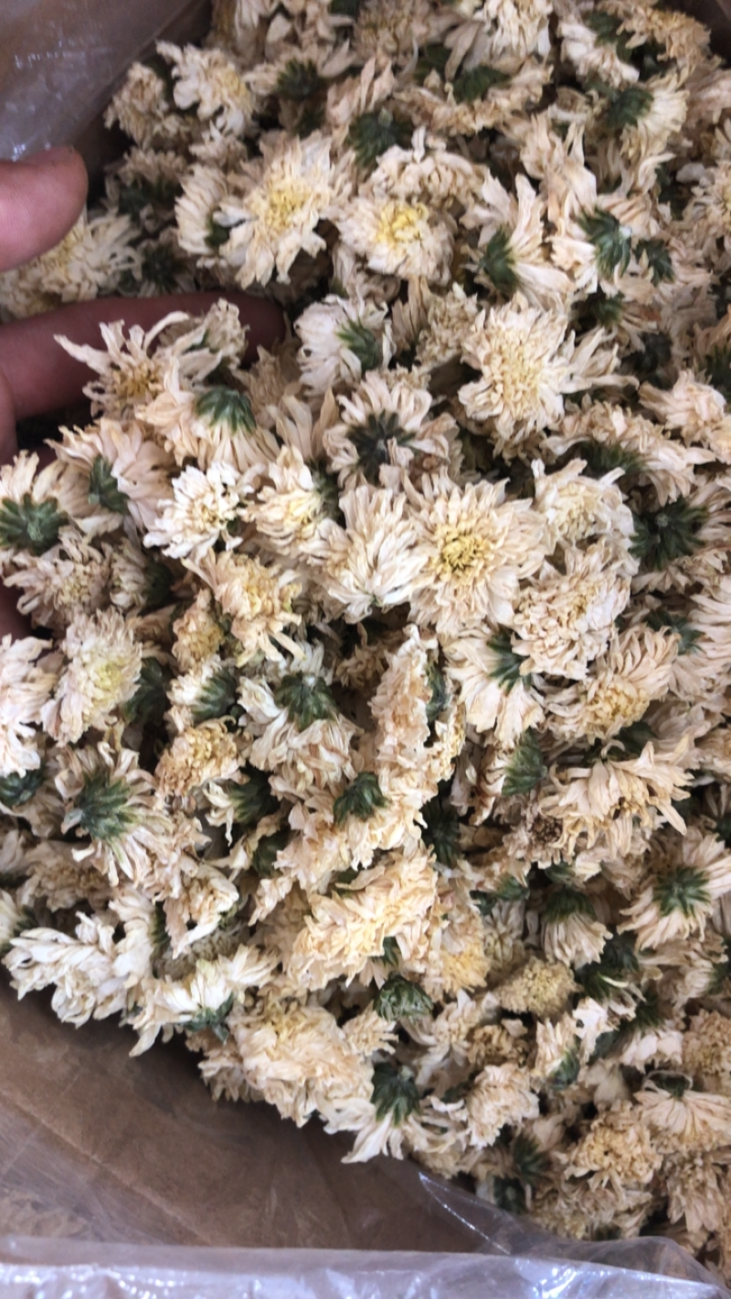 菊花茶七月菊2025年新黄山菊花茶白菊花茶